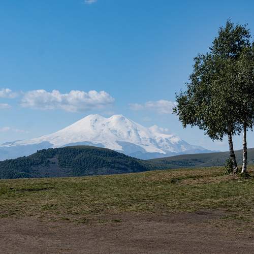 Photo #11001951