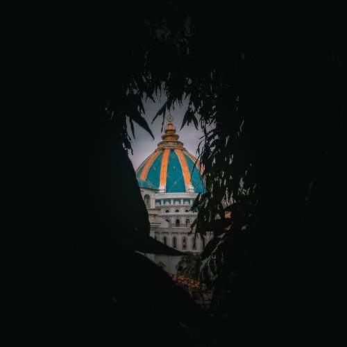 Even in the shadows, the light of wonder finds a way to shine through.