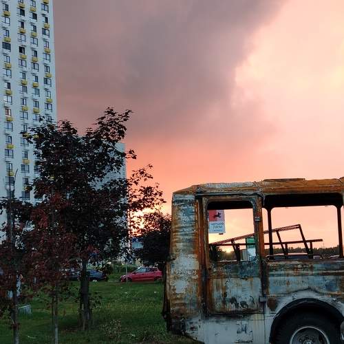 Photo #11002112