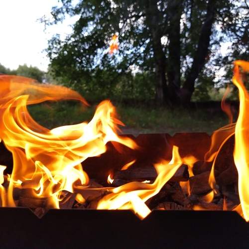 Photo #11002120