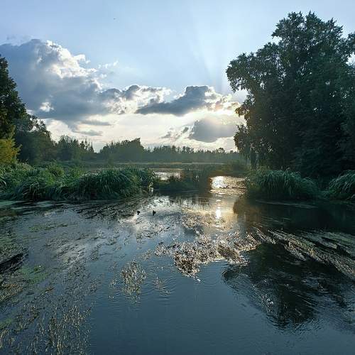 Photo #11002127