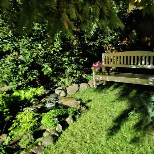 Photo #11002419