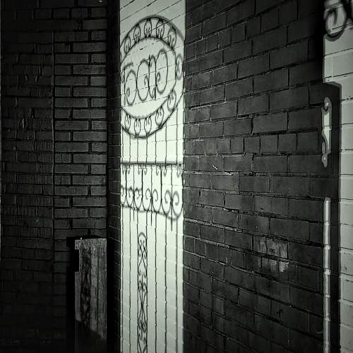 Photo #11002694