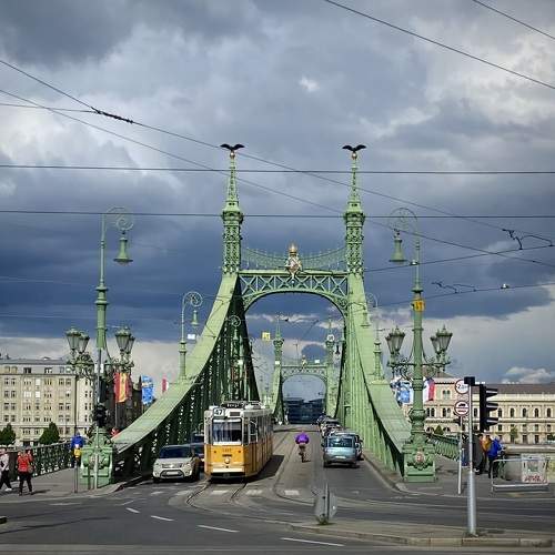Photo #11002739