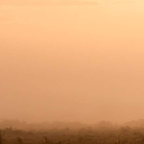 Morning Magic in Masai Mara