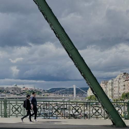 Photo #11002753