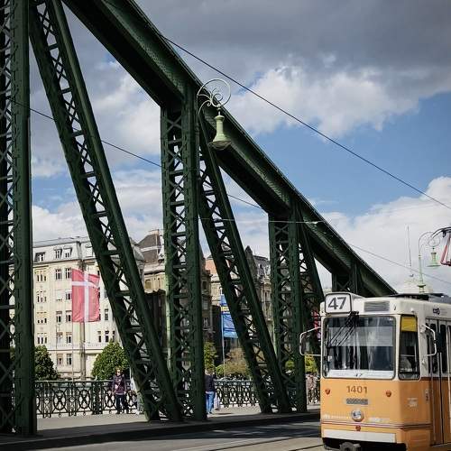Photo #11002754