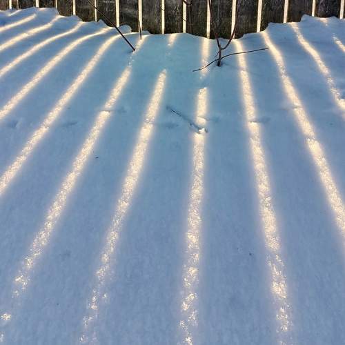 Photo #11002776
