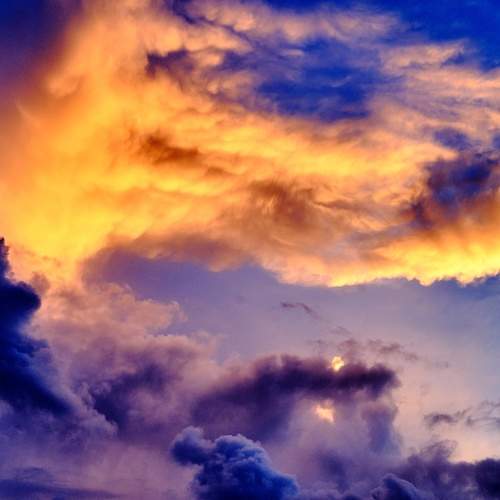 Photo #11002930