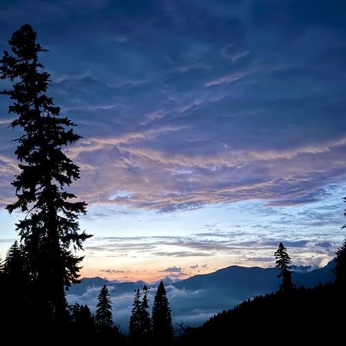 Photo #11003038