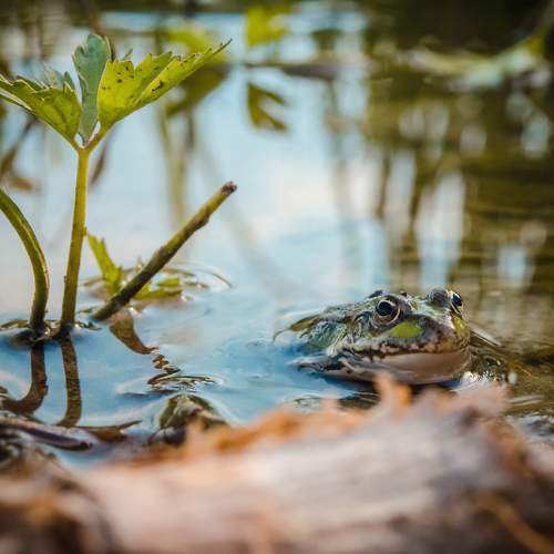 Photo #11003136