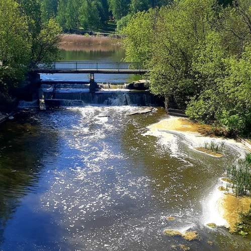 Photo #11003342