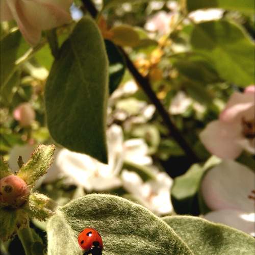 Photo #11003348