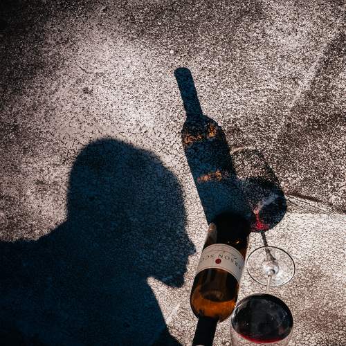 Photo #11003394