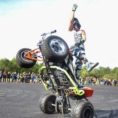 Photo #11003478