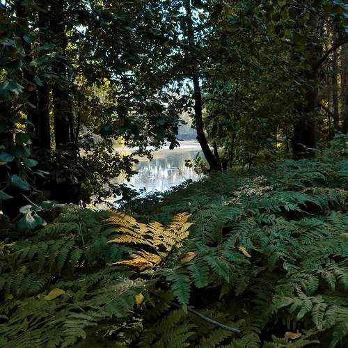 Photo #11003982