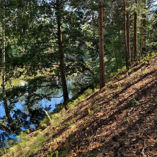 Photo #11003993