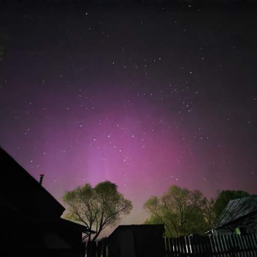 Photo #11004166
