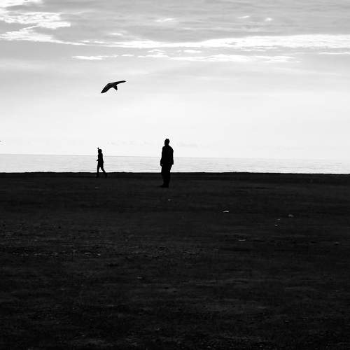 Photo #11005402