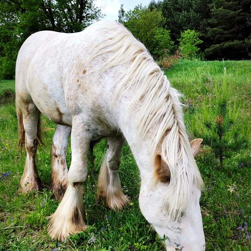 Photo #11005461