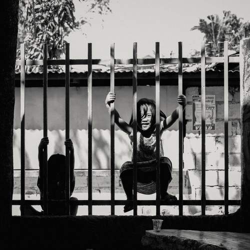 Photo #11005613