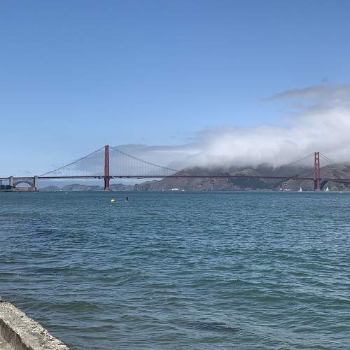 Photo #11005642