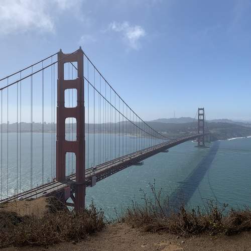 Photo #11005653