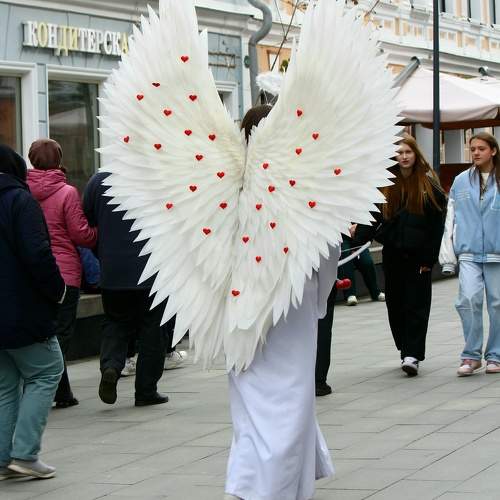 Photo #11006023