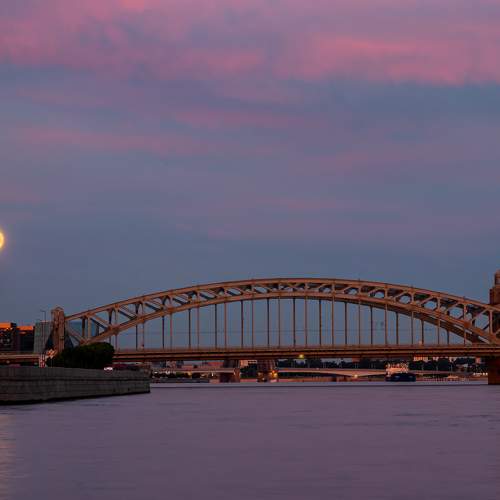 Photo #11006115