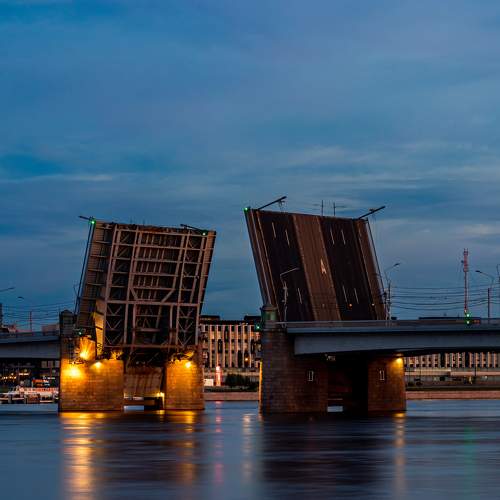 Photo #11006116