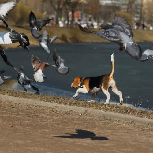 Photo #11006157