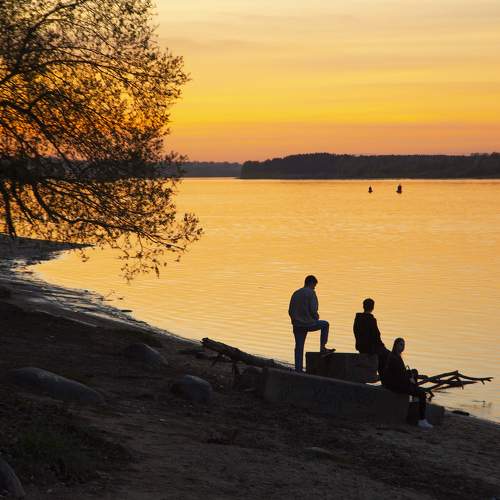 Photo #11006300