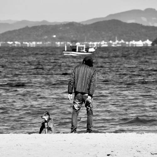 Photo #11006407