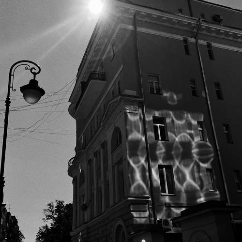 Photo #11006525