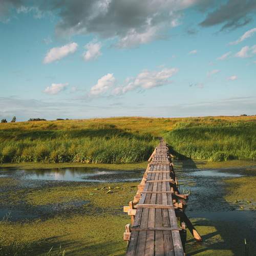 Photo #11006669
