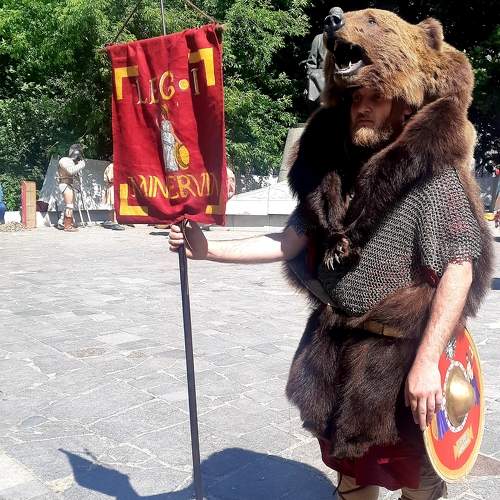 Photo #11006945