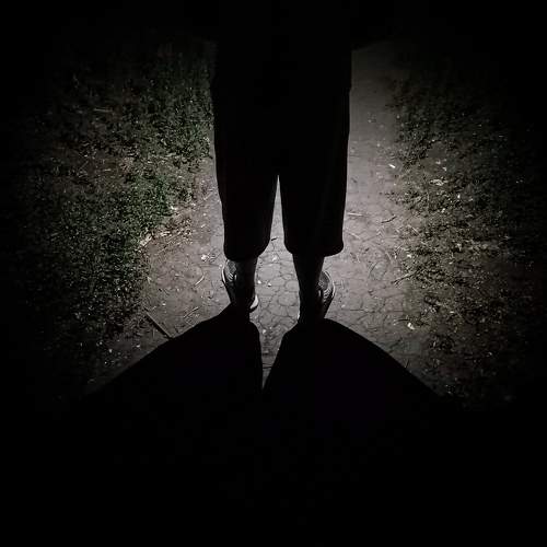 Photo #11007173