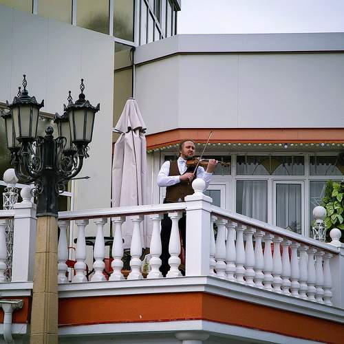 Photo #11007536