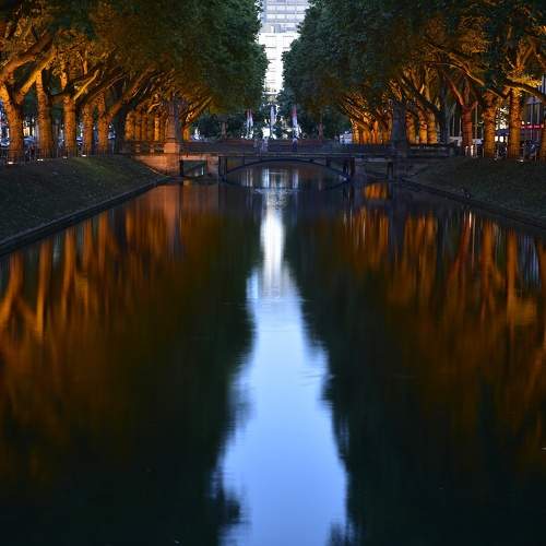 Photo #11007562