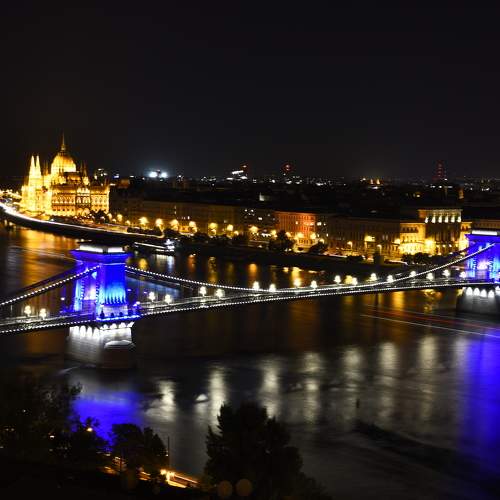 Photo #11007578