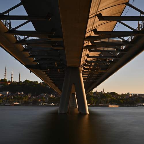 Photo #11007598