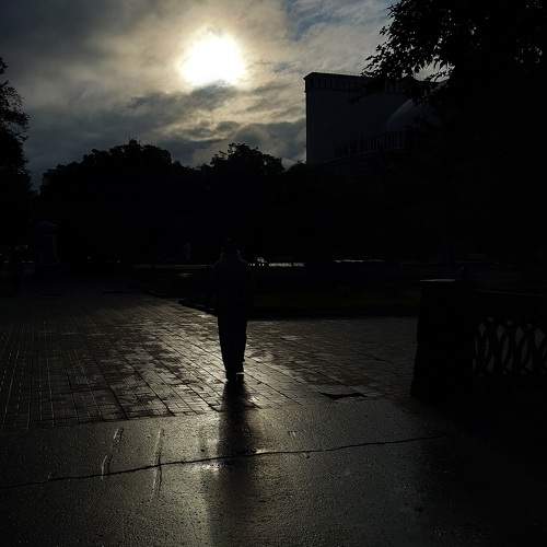Photo #11007621