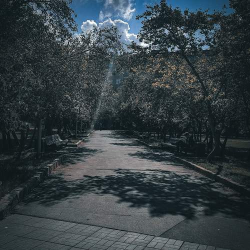 Photo #11007625