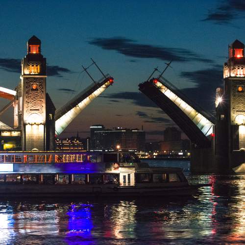 Photo #11007637