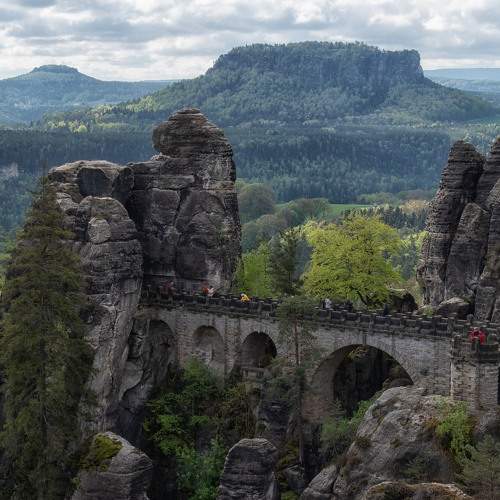 Photo #11007672