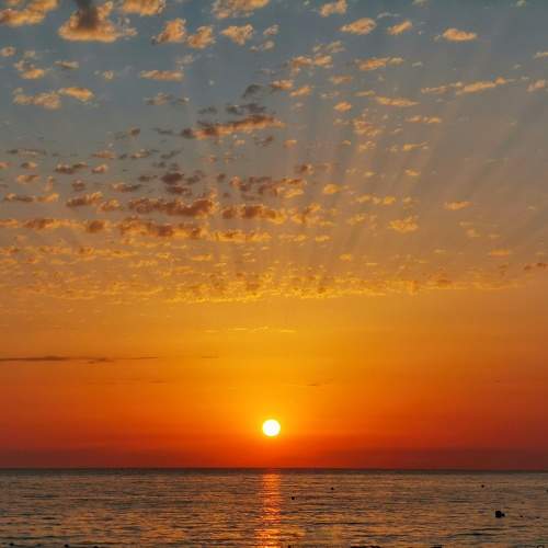 Photo #11007816