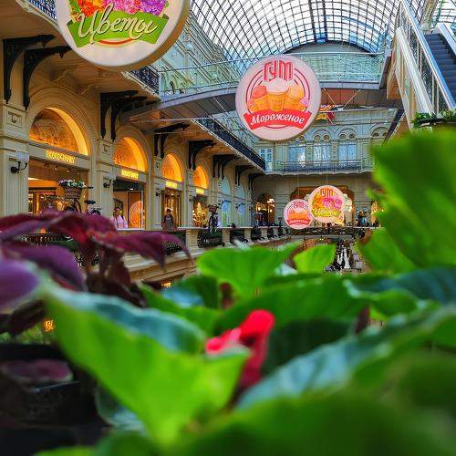 Photo #11007840