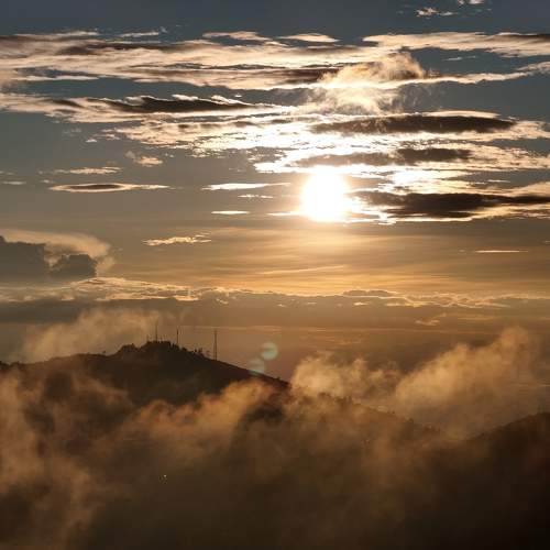 Photo #11008303