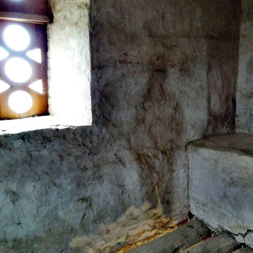 Photo #11008333