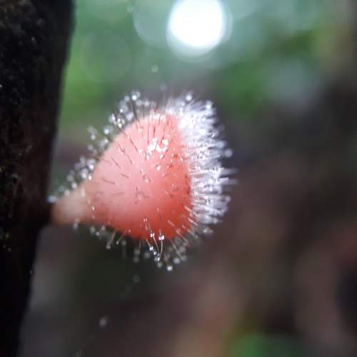 Photo #11008796